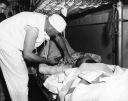070_Off_Korea_-_Aiding_wounded_from_US_Brush_Sept_26_1950_28Hal_Brown_Photo29.jpg